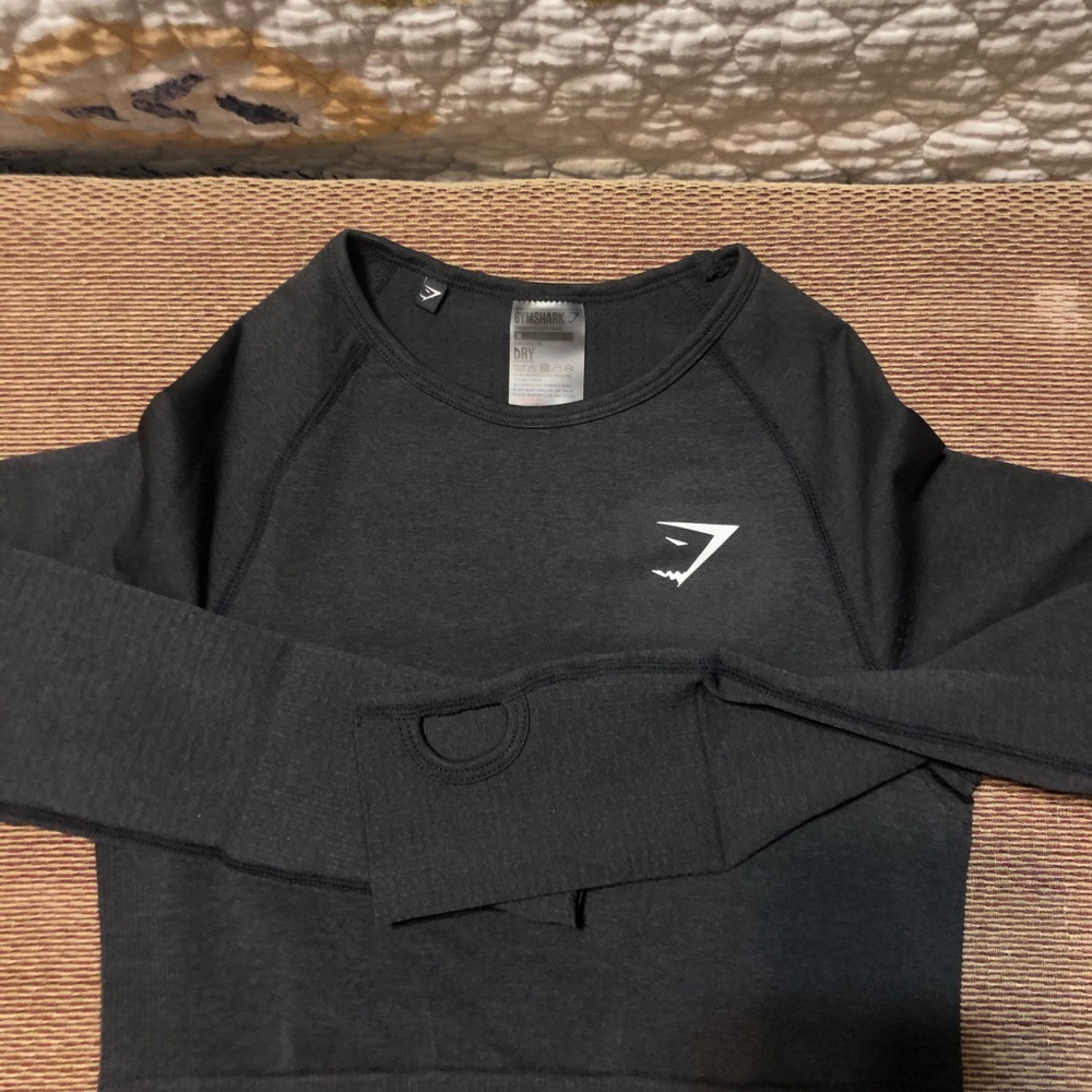 Long sleeved crop top